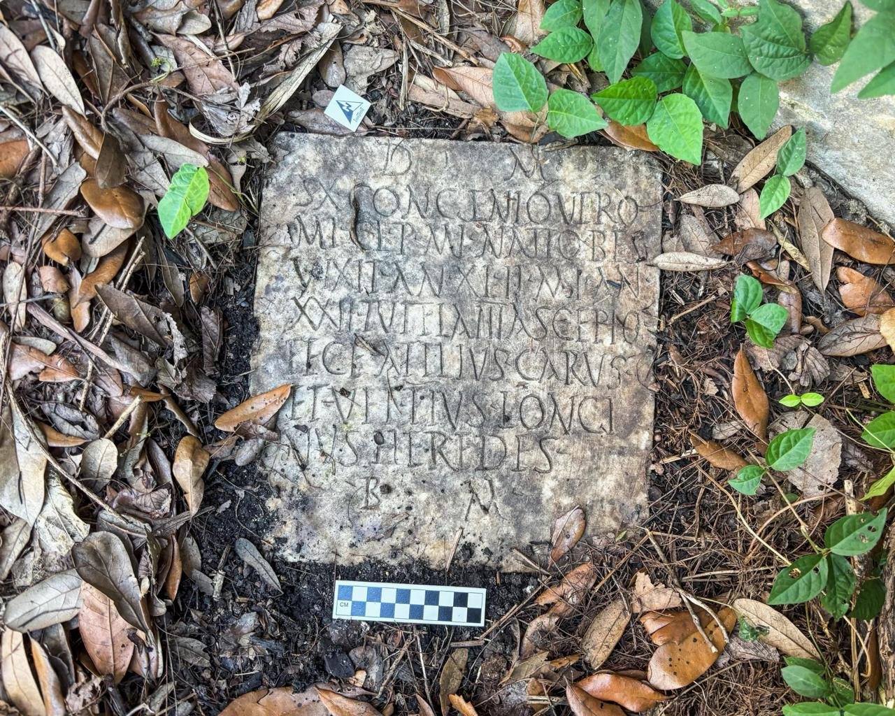 Антрополог из Университета Тулейна Даниэлла Санторо и её муж Аарон Лоренц купили дом в историче - фото 1