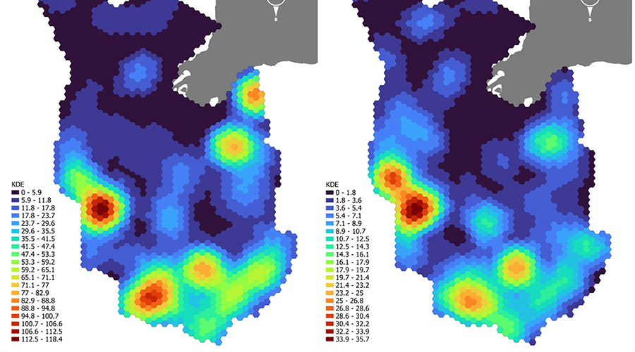 Фенскейпы: археология, природное наследие и изменение окружающей среды в Фенах Восточной Англии