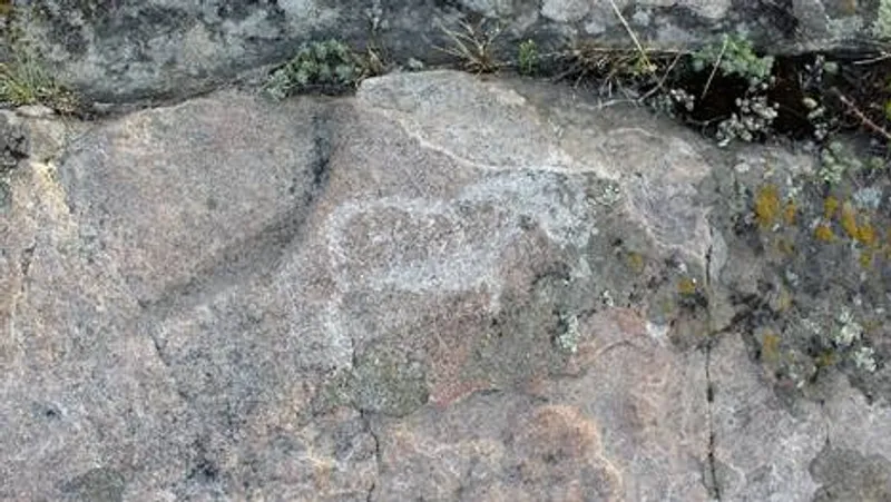 От Драверта до Кемертуза: история, которой может не стать - фото 1