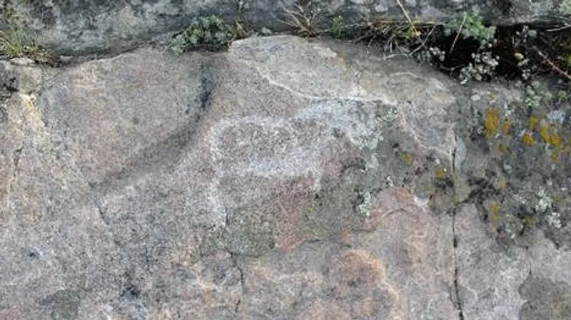 От Драверта до Кемертуза: история, которой может не стать - фото 3