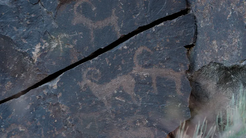 Ранее неизвестные ученым петроглифы найдены в Национальном парке "Алтын-Эмель" - фото 2