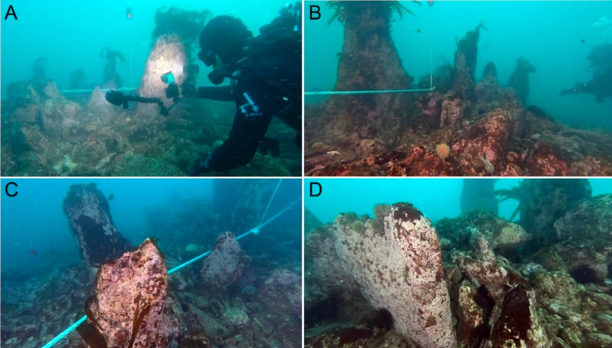 У берегов Бретани нашли древнейшие в Европе подводные мегалиты возрастом 7900 лет - фото 1