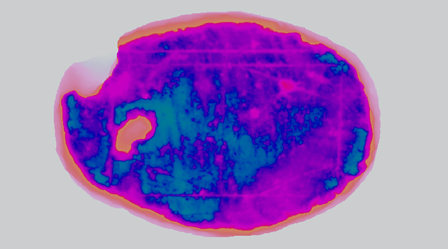 Людус Кориовалли: использование моделирования на основе искусственного интеллекта для определения правил древней настольной игры