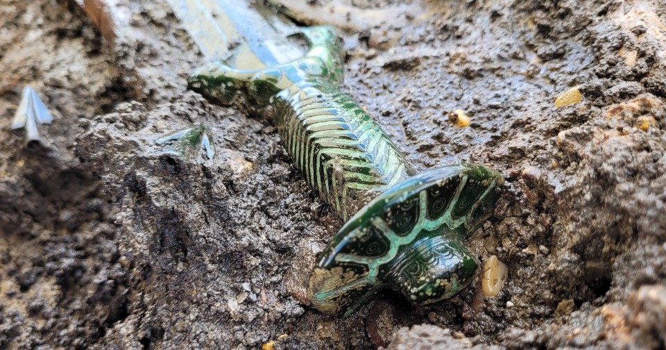 В Германии обнаружен легендарный восьмигранный меч возрастом 3400 лет, поразивший учёных сложностью изготовления