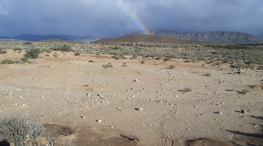 Археологический ландшафт заповедника Вулвекраал (ЮАР)